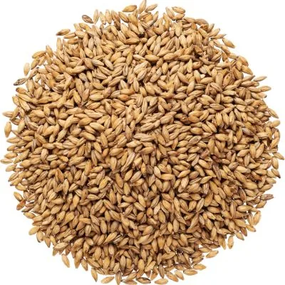 Gerstenmalz