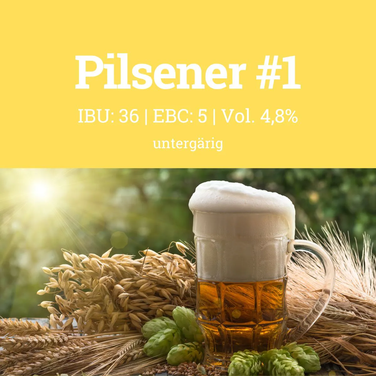 Pilsener Braumischung #1 - Leichtigkeit & klassische Hopfenaromen