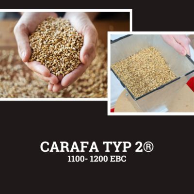 CARAFA® TYP 2