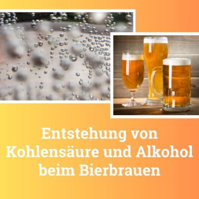 Entstehung von Kohlensäure und Alkohol beim Bierbrauen