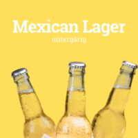 Mexican Lager