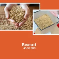 Biscuit Malz 45–55 EBC